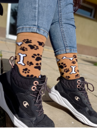 Dog Lover Colorful Socks