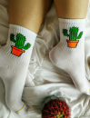 Cactus Šarene Čarape