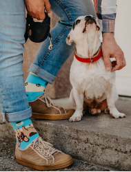 Dog Stripes Šarene Čarape