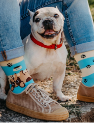 Dog Stripes Šarene Čarape