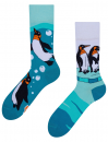 Penguins Šarene Čarape