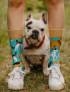 Dog Friends Šarene Čarape