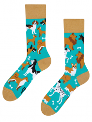 Dog Friends Colorful Socks